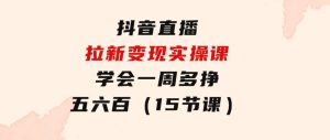 抖音直播拉新变现实操课，学会一周多挣五六百（15节课）-财仔梦想资源网