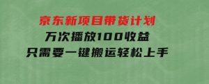 京东新项目带货计划，万次播放100收益，只需要一键搬运，轻松上手-财仔梦想资源网