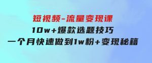 2024年短视频-流量变现课：10w+爆款选题技巧一个月快速做到1w粉+变现秘籍-财仔梦想资源网