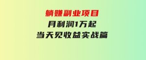 躺赚副业项目，月利润1万起，当天见收益，实战篇-财仔梦想资源网