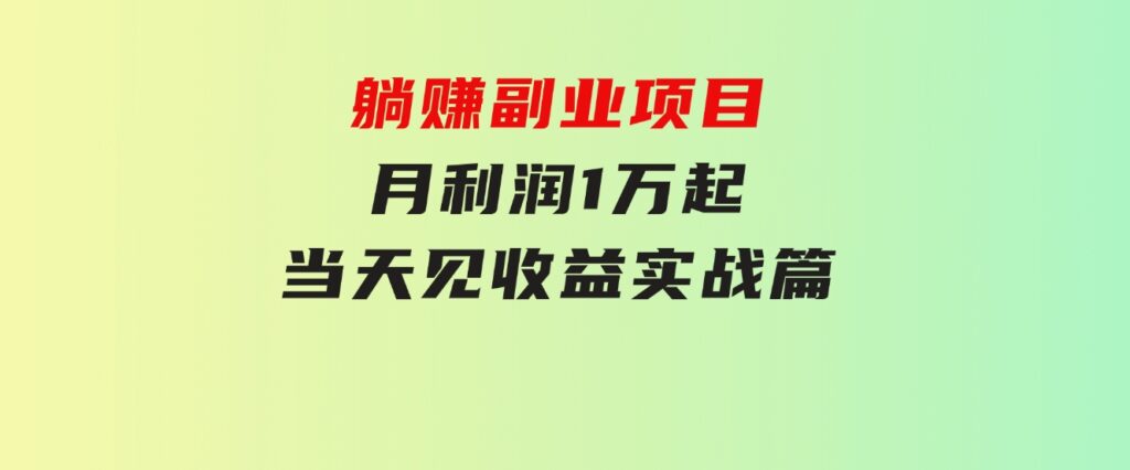 躺赚副业项目，月利润1万起，当天见收益，实战篇-财仔梦想资源网