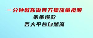 揭秘！一分钟教你做百万播放量视频，条条爆款，各大平台自然流，轻松月…-财仔梦想资源网