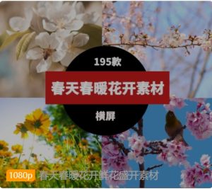 春天春暖花开鲜花盛开素材-财仔梦想资源网