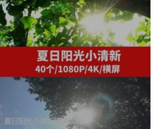 夏日阳光小清新视频素材-财仔梦想资源网