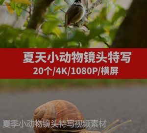 夏季小动物镜头特写视频素材-财仔梦想资源网