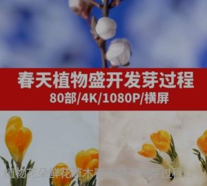 植物花朵鲜花草木春天盛开发芽过程延时高清实拍视频素材-财仔梦想资源网