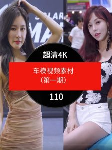 高清车模视频素材-110个-财仔梦想资源网