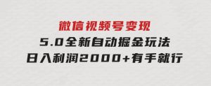 微信视频号变现，5.0全新自动掘金玩法，日入利润2000+有手就行-财仔梦想资源网