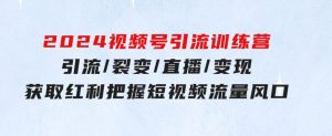 2024视频号引流训练营：引流/裂变/直播/变现获取红利把握短视频流量风口-财仔梦想资源网