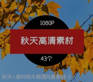 秋天+落叶树木高清风景素材-3-财仔梦想资源网