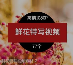 鲜花特写视频素材-2-财仔梦想资源网