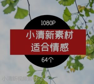 小清新视频素材-2-财仔梦想资源网