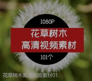 花草树木高清视频素材01-财仔梦想资源网