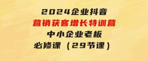 2024企业抖音-营销获客增长特训营，中小企业老板必修课（29节课）-财仔梦想资源网