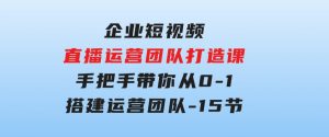 企业短视频-直播运营团队打造课，手把手带你从0-1搭建运营团队-15节-财仔梦想资源网