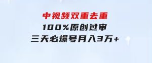 无脑操作!中视频双重去重，100%原创过审，三天必爆号，月入3万+-财仔梦想资源网