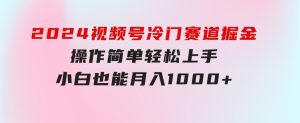2024视频号冷门赛道掘金，操作简单轻松上手，小白也能月入1000+-财仔梦想资源网