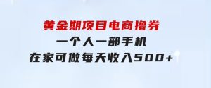 黄金期项目，电商撸券！一个人，一部手机，在家可做，每天收入500+-财仔梦想资源网