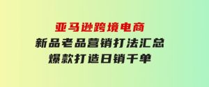 亚马逊跨境电商：新品老品营销打法汇总，爆款打造，日销千单-财仔梦想资源网