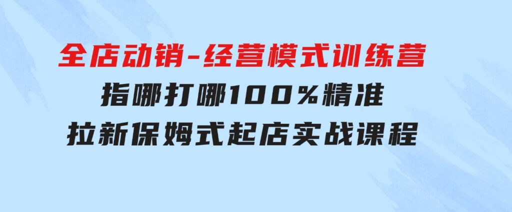 全店动销-经营模式训练营，指哪打哪100%精准拉新保姆式起店实战课程-财仔梦想资源网
