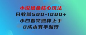 小说撸金核心玩法，日收益500-1000+，小白看完照样上手，0成本有手就行-财仔梦想资源网