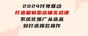 2024付免联动-打造盈利型店铺实战课，系统化推广从选品到打造爆款操作-财仔梦想资源网