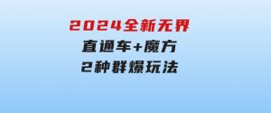 2024全新无界：直通车+魔方，2种群爆玩法-财仔梦想资源网