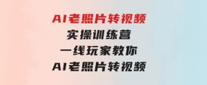 AI老照片转视频实操训练营，一线玩家教你AI老照片转视频-财仔梦想资源网