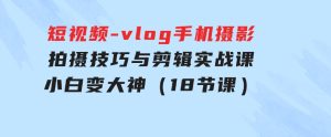 短视频-vlog手机摄影：拍摄技巧与剪辑实战课：小白变大神（18节课）-财仔梦想资源网