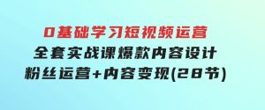 0基础学习短视频运营-全套实战课，爆款内容设计+粉丝运营+内容变现(28节)-财仔梦想资源网