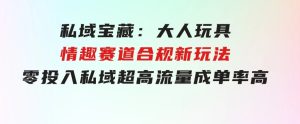 私域宝藏：大人玩具情趣赛道合规新玩法，零投入，私域超高流量成单率高-财仔梦想资源网