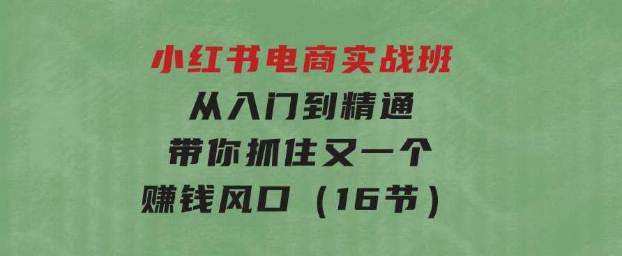 小红书电商实战班，从入门到精通，带你抓住又一个赚钱风口（16节）-财仔梦想资源网