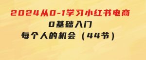 2024从0-1学习小红书电商，0基础入门，每个人的机会（44节）-财仔梦想资源网