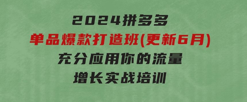 2024拼多多-单品爆款打造班(更新6月)，充分应用你的流量，增长实战培训-财仔梦想资源网