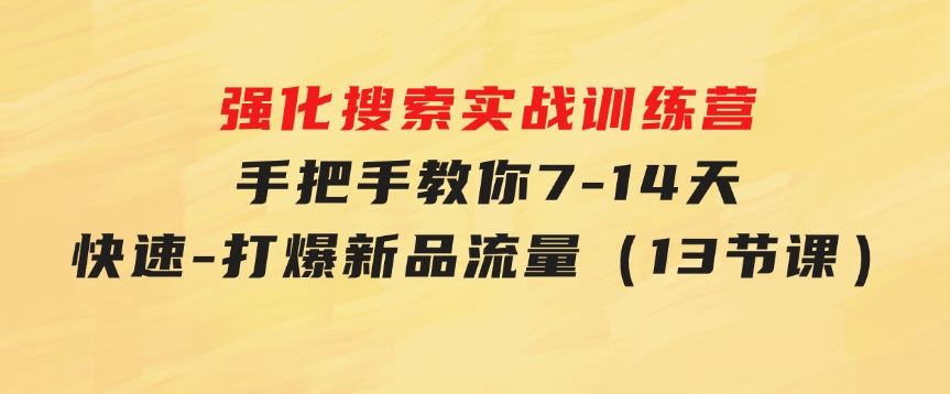 强化搜索实战训练营，手把手教你7-14天快速-打爆新品流量（13节课）-财仔梦想资源网