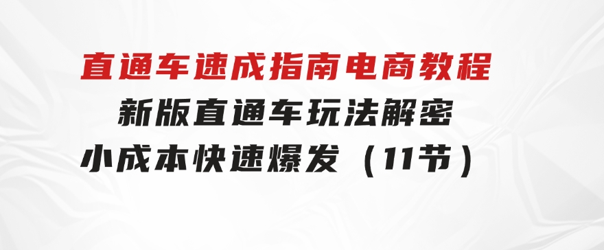 直通车速成指南电商教程：新版直通车玩法解密，小成本快速爆发（11节）-财仔梦想资源网