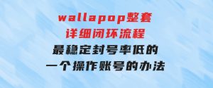 wallapop整套详细闭环流程：最稳定封号率低的一个操作账号的办法-财仔梦想资源网