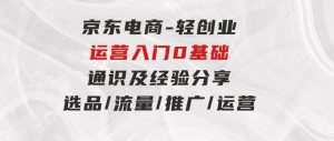 京东电商-轻创业运营入门0基础通识及经验分享：选品/流量/推广/运营-财仔梦想资源网