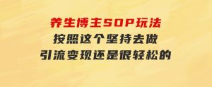养生博主SOP玩法，按照这个坚持去做，引流变现还是很轻松的-财仔梦想资源网