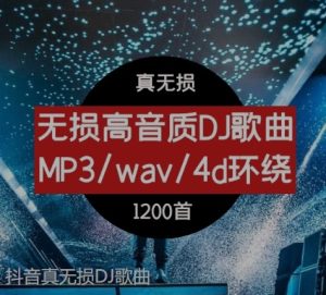 抖音真无损DJ歌曲-财仔梦想资源网