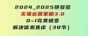 2024_2025拼多多实操运营策略3.0，0~1完美蜕变，解决信息焦虑（38节）-财仔梦想资源网