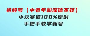 视频号【中老年粉深信不疑】小众赛道100%原创手把手教学新号3天收益…-财仔梦想资源网