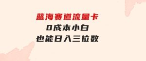 蓝海赛道流量卡0成本小白也能日入三位数-财仔梦想资源网