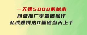 一天赚5000的秘密，网盘推广零基础操作，私域赚钱法，0基础当天上手-财仔梦想资源网