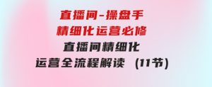 直播间-操盘手精细化运营必修，直播间精细化运营全流程解读(11节)-财仔梦想资源网