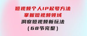 短视频个人IP起号方法，掌握短视频领域，洞察短视频新玩法（68节完整）-财仔梦想资源网
