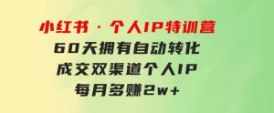 小红书·个人IP特训营：60天拥有自动转化成交双渠道个人IP，每月多赚2w+-财仔梦想资源网