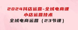 2024抖店运营-全域电商课，小店运营技术，全域电商运营（23节课）-财仔梦想资源网