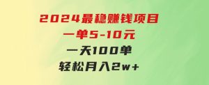 2024最稳赚钱项目，一单5-10元，一天100单，轻松月入2w+-财仔梦想资源网
