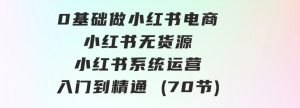 0基础做小红书电商，小红书无货源，小红书系统运营，入门到精通(70节)-财仔梦想资源网